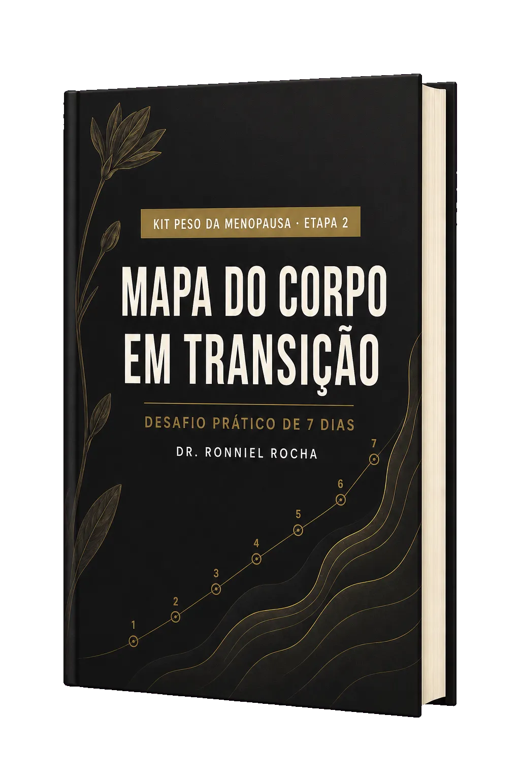 Capa do material Mapa do Corpo em Transição